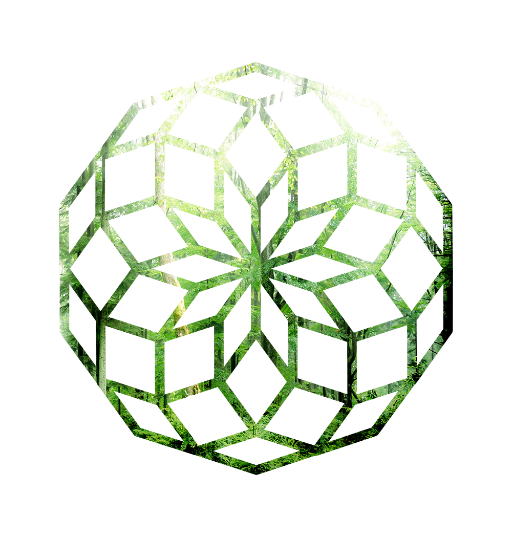 logo korzeni